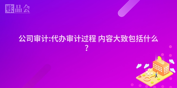 公司审计:代办审计过程 内容大致包括什么？